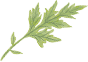 葉